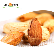 AGOLYN Organic wholesale Roasted almond nuts kernels